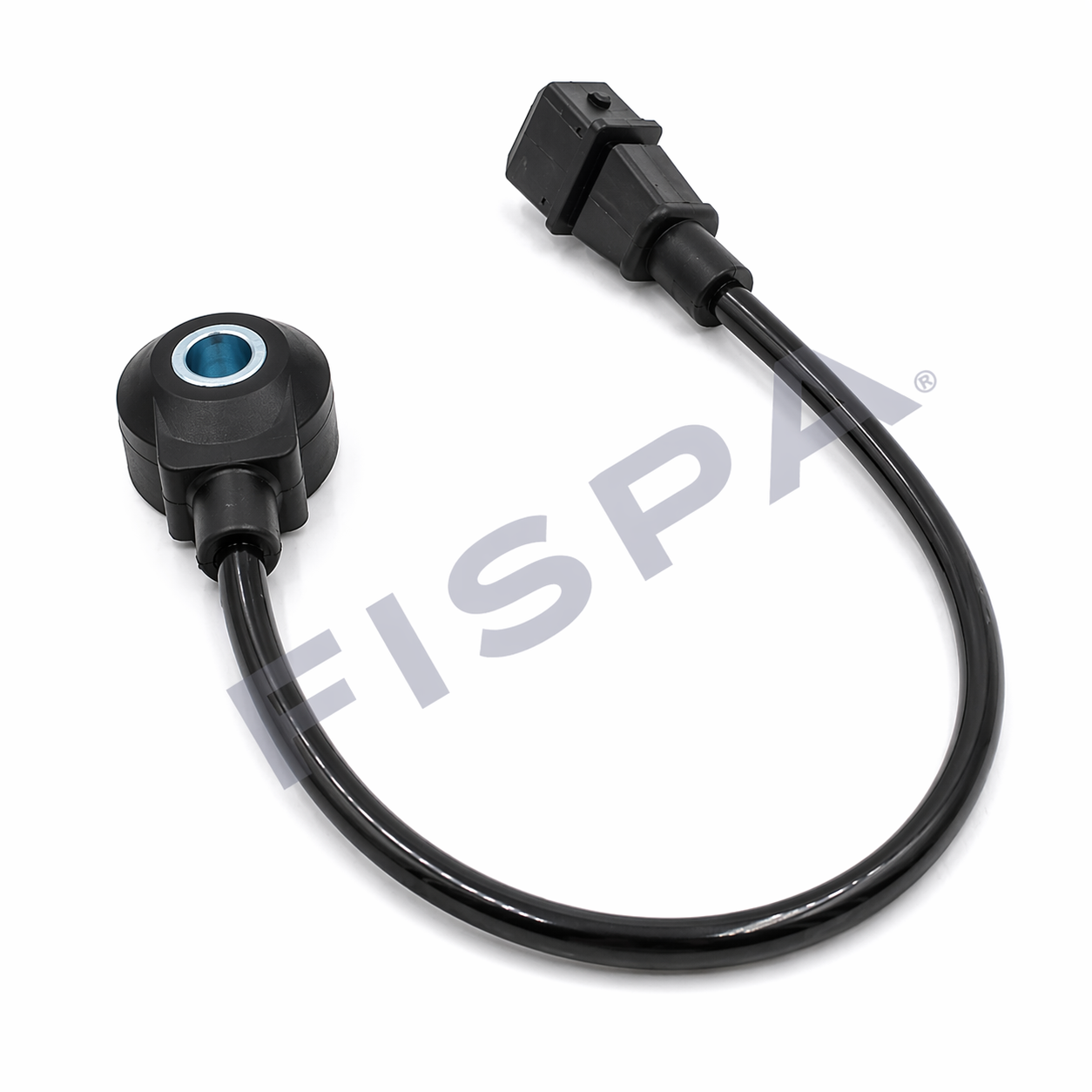 FISPA 12038