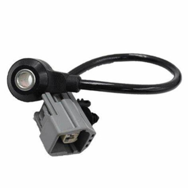 FISPA 12040