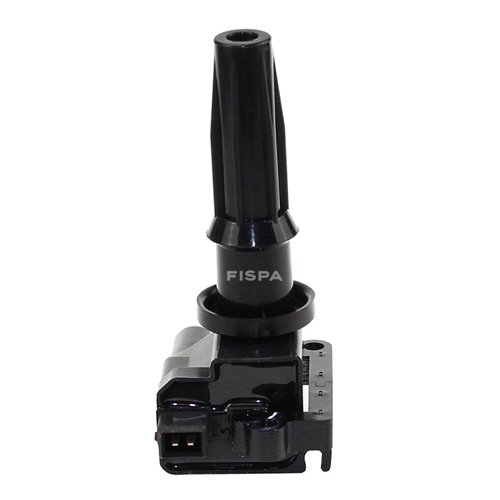 FISPA 70243
