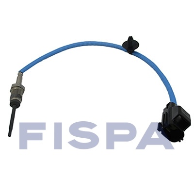 FISPA 82022
